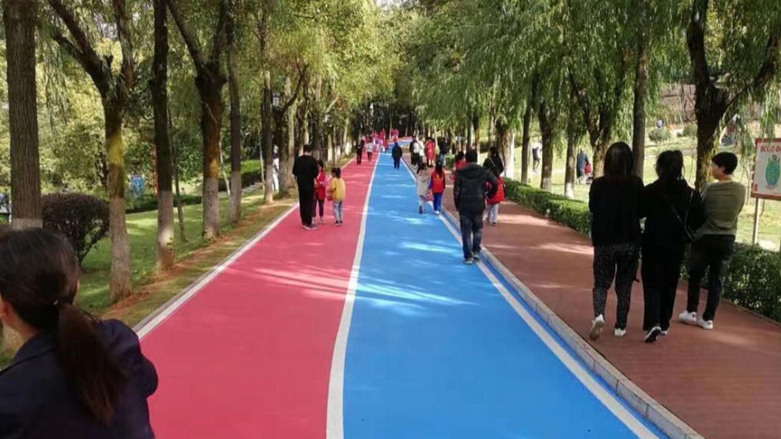 水性EAU彩色防滑路面_案例推荐_3